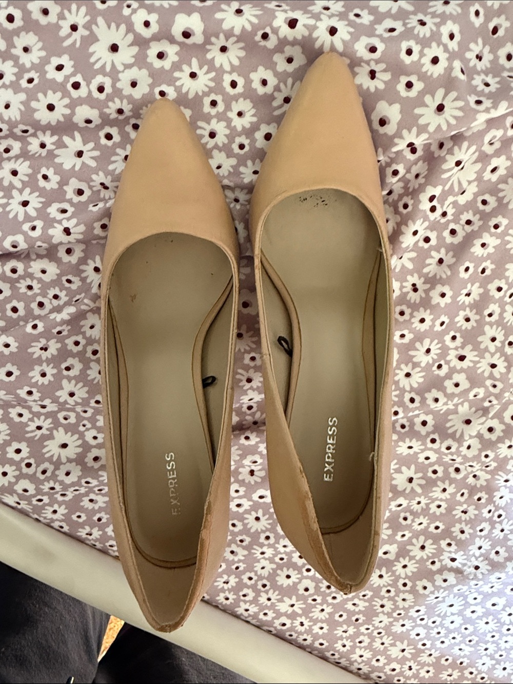 Express Pointed Toe Flats in Beige